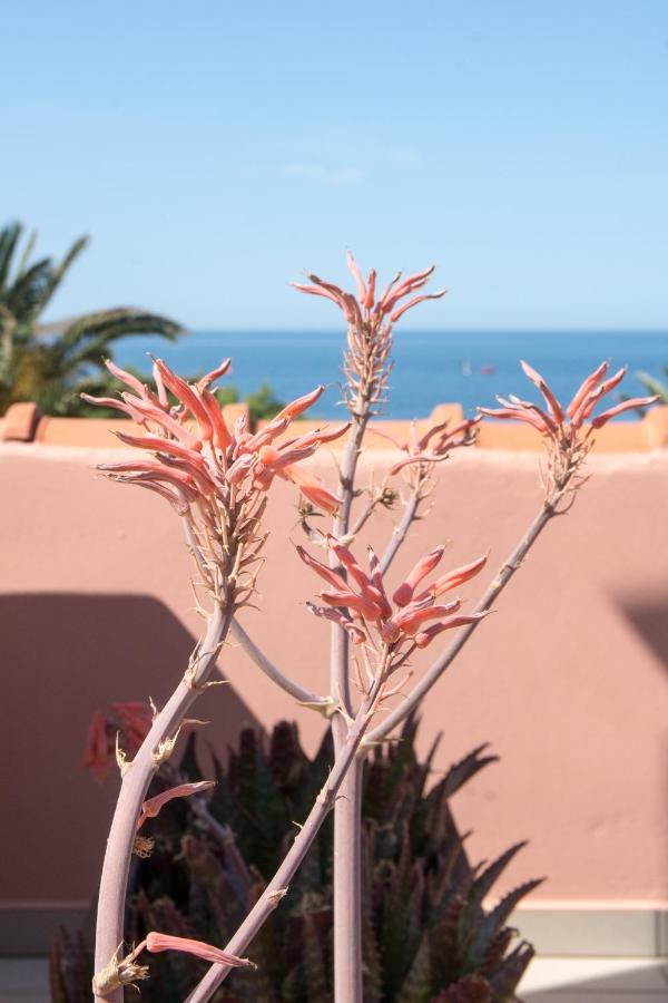 Platy Beach Hotel Exterior photo